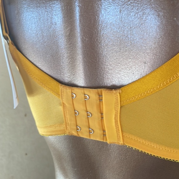 HSIA Rich Yellow Lacy Bra - Picture 5 of 11